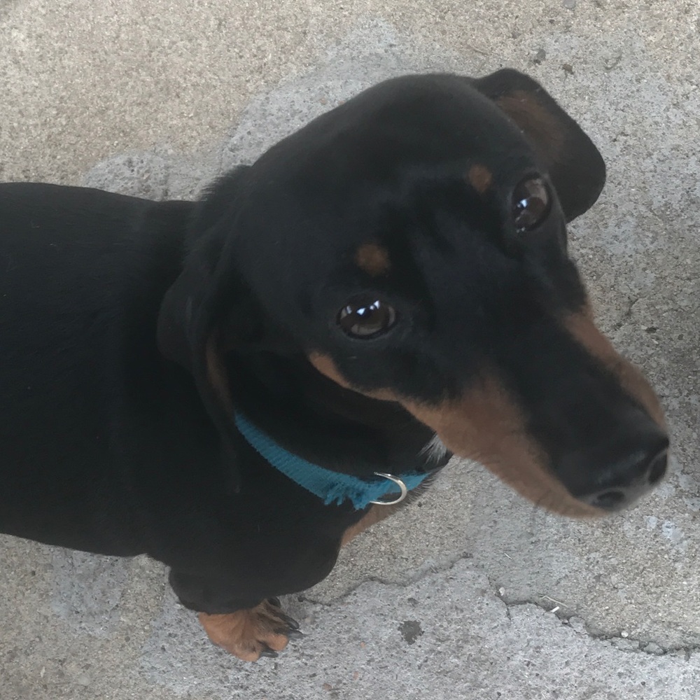 Meet your Posher, Jennifer